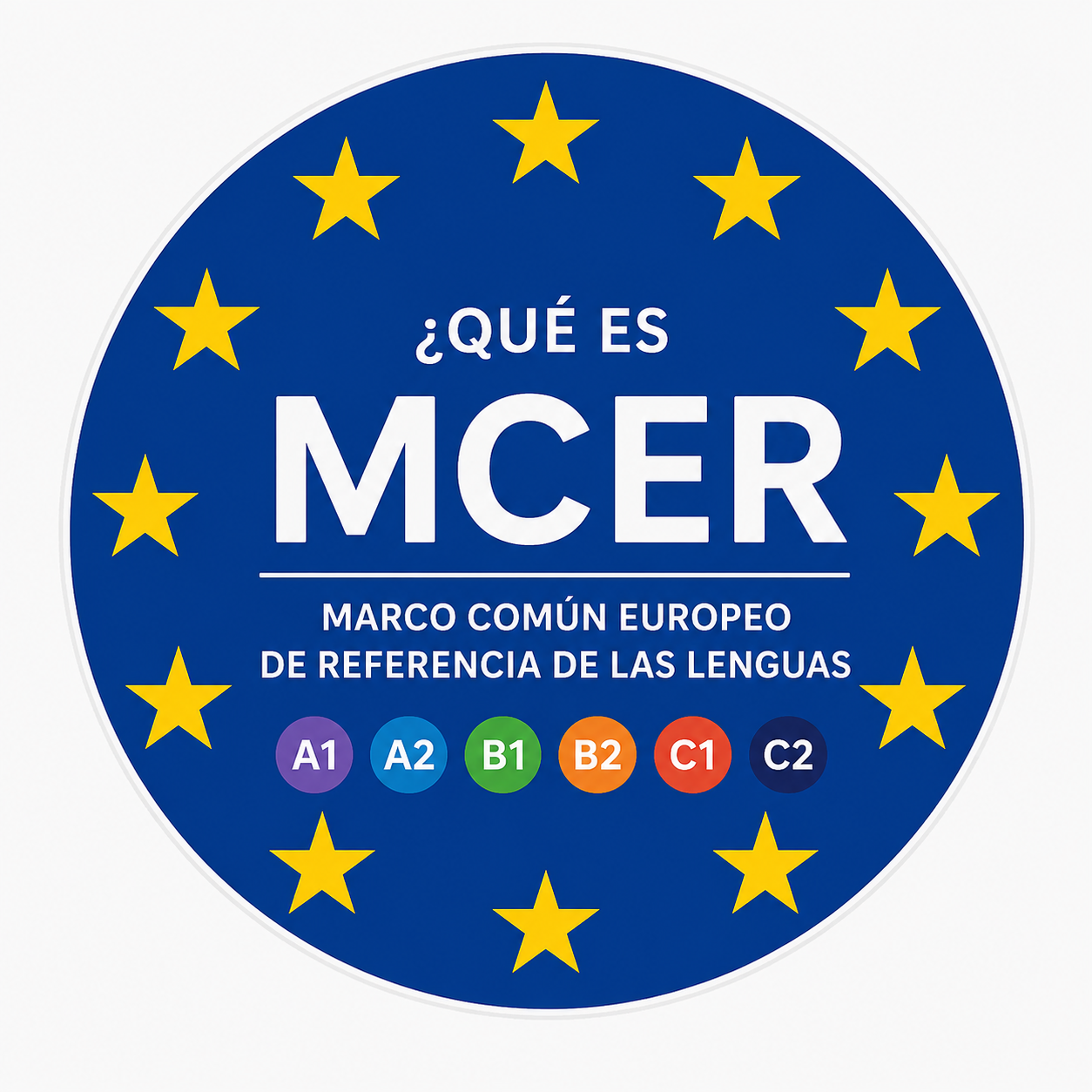 mcer que es
